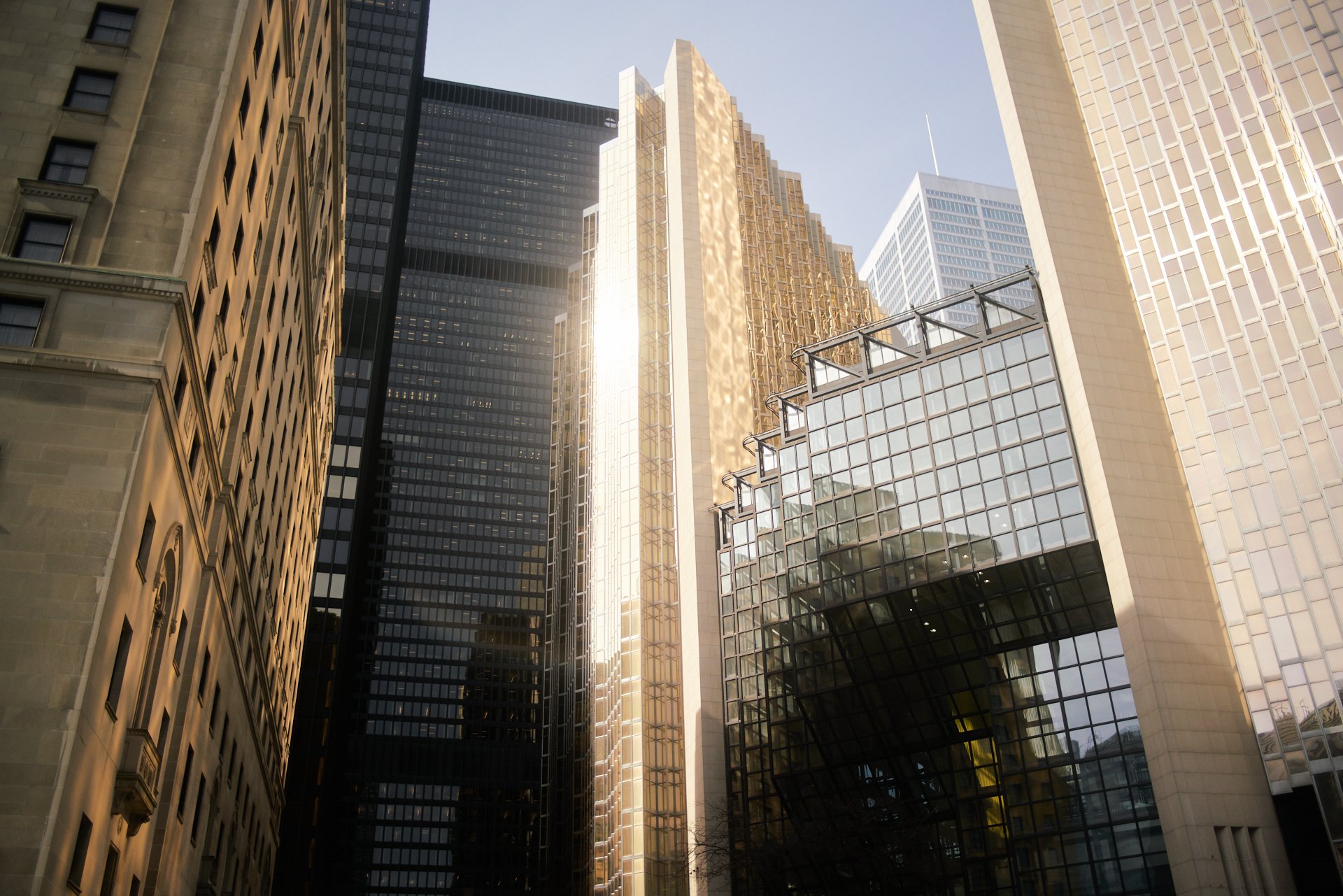 Toronto — photo 1, David-Olivier Gascon