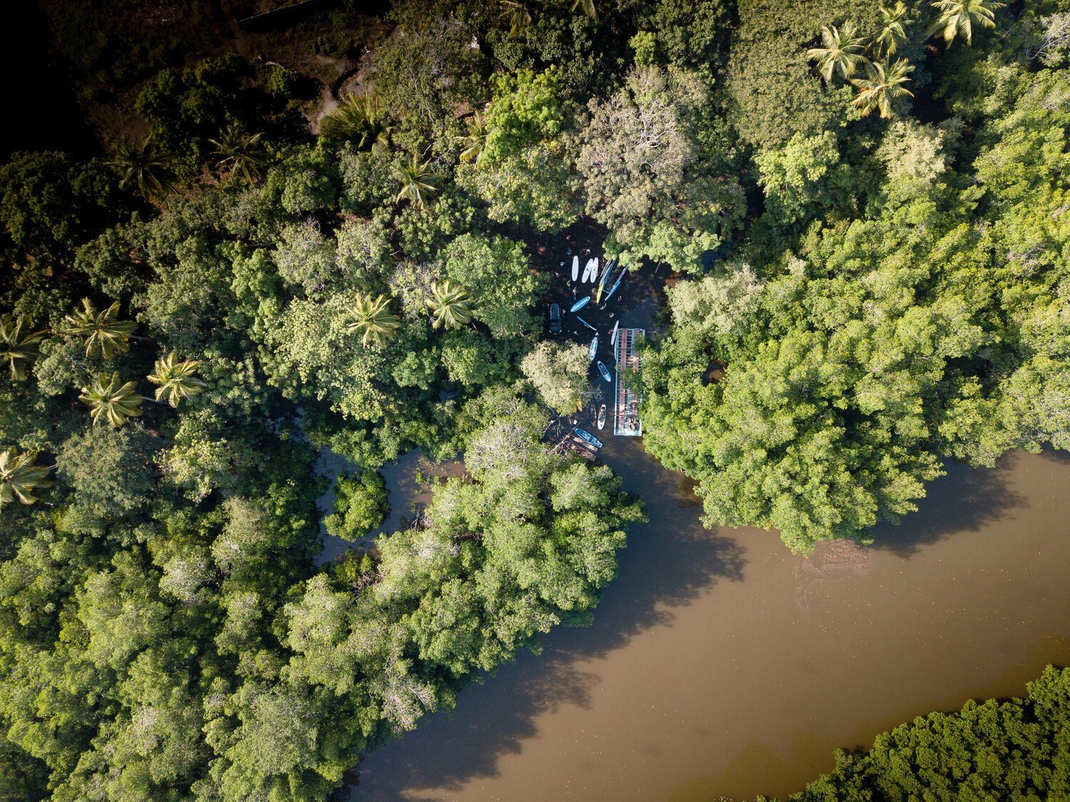 Vue aérienne d'une forêt dense partiellement encerclée par une rivière sinueuse, avec un petit quai et plusieurs bateaux à proximité.