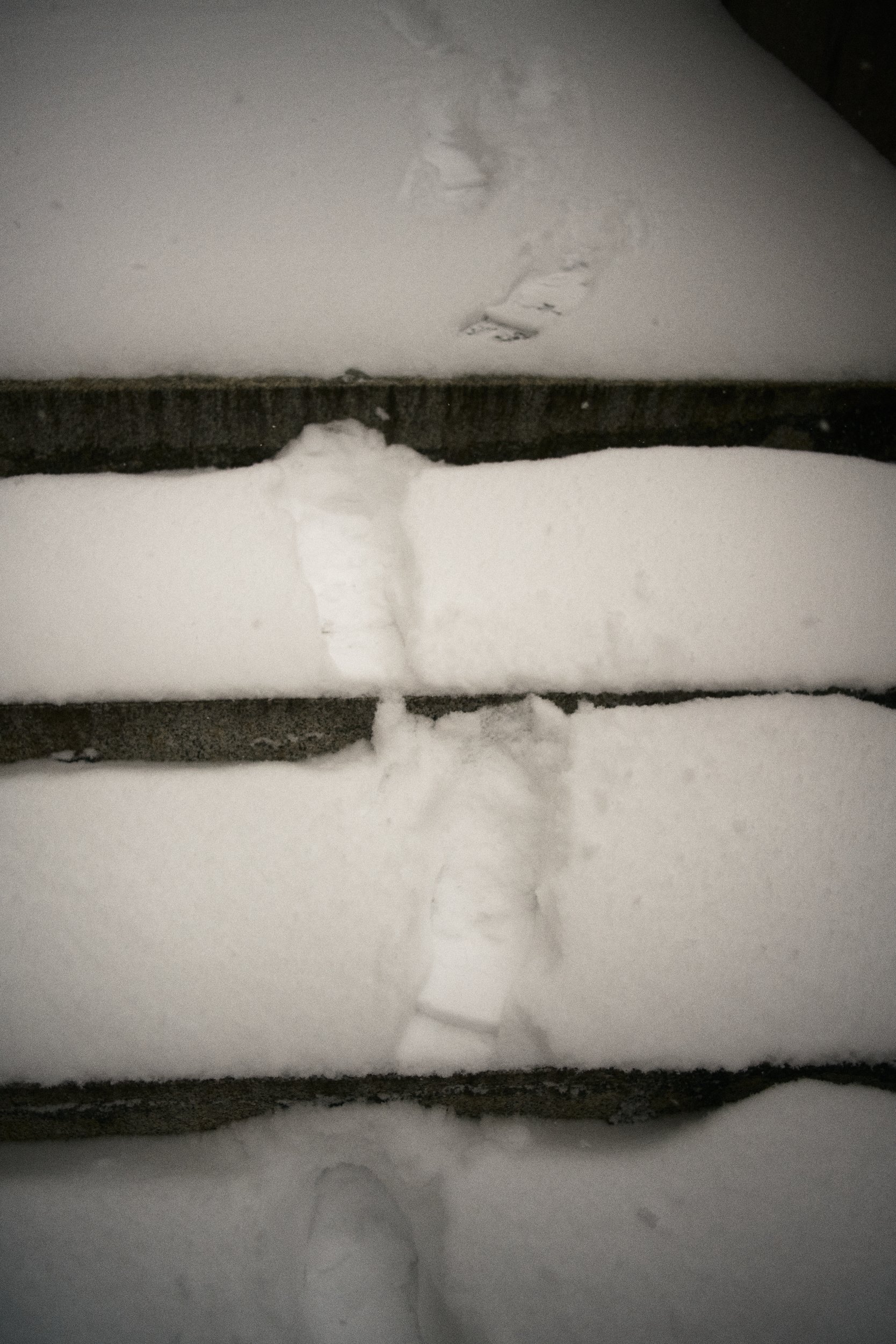 David-Olivier Gascon - Blog photo + Fictions — photo 168, David-Olivier Gascon